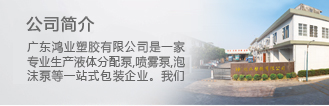 　  本公司成立于2007年，位广东省汕头市澄海区盐鸿镇春天湖工业区，生产厂房面…